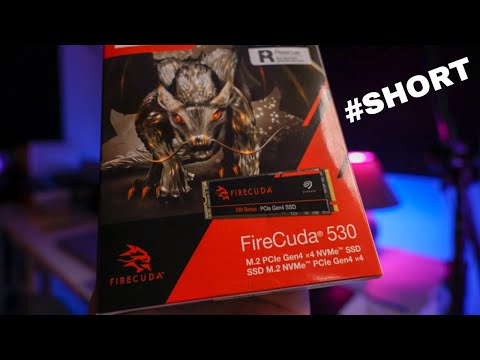Fast BUT… Caching Issues? Firecuda 530????