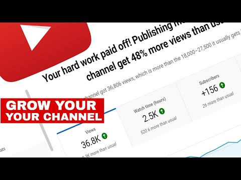 How to Get 1000 Subscribers in 2022. The Analytics Version
